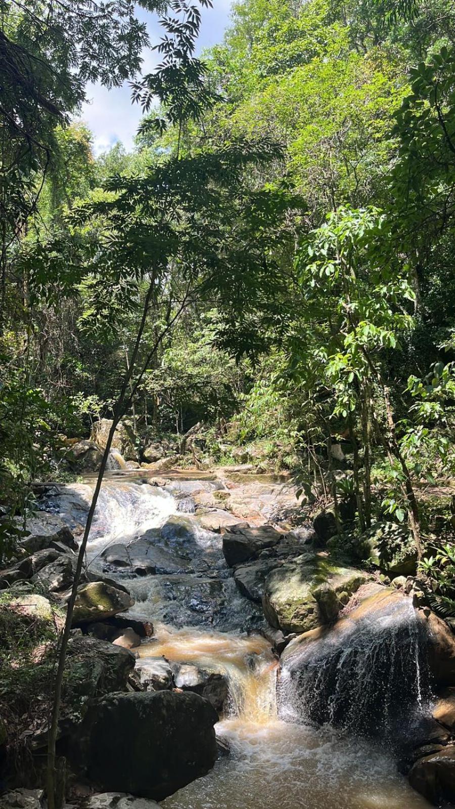 圣保罗Quinta Da Bocaina别墅 外观 照片